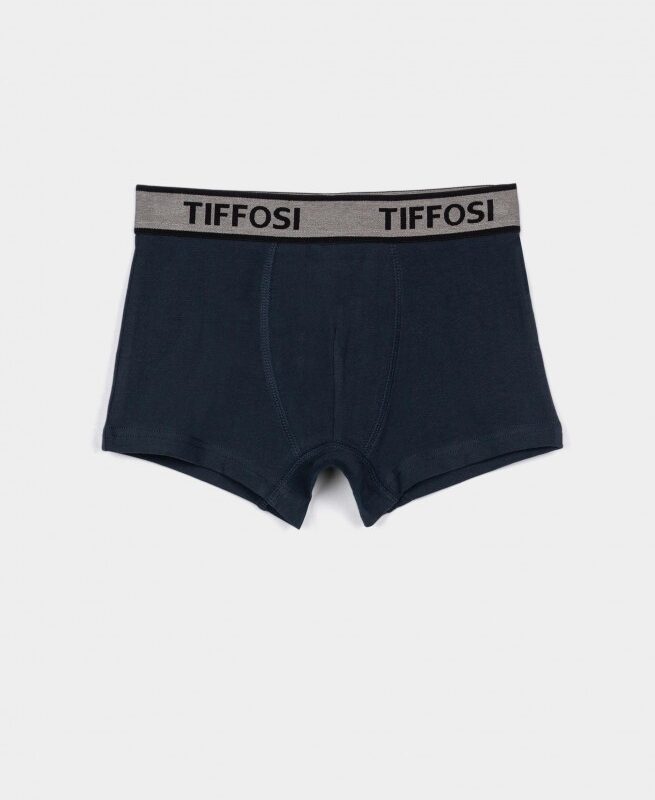 Boxer